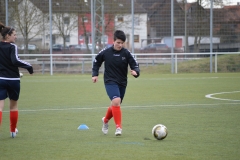 FFv gau Odernhei_004
